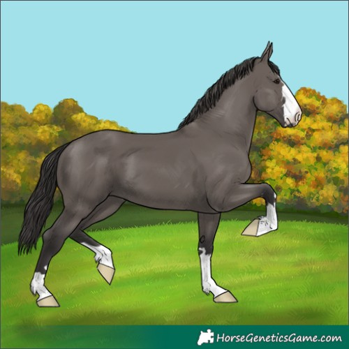Horse Color:Smoky Grullo 