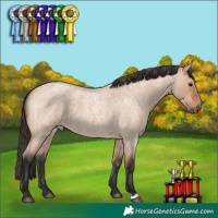 Horse Color:Bay Roan Dun 