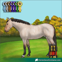 Horse Color:Bay Roan Dun