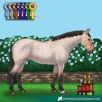 Horse Color:Bay Roan Dun 