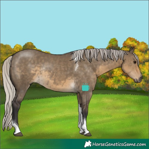 Horse Color:Silver Smoky Grullo Tobiano Rabicano 