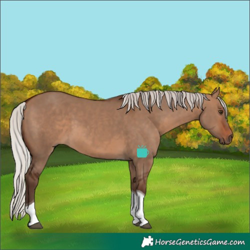 Horse Color:Silver Brown Dun Tobiano 