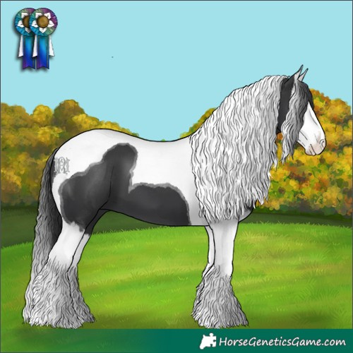 Horse Color:White Spotted Black Splash Tobiano 