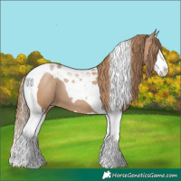 Horse Color:Black Pearl Splash Tobiano 