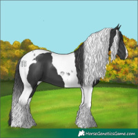 Horse Color:Black Tobiano