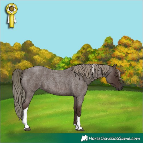 Horse Color:Liver Red Roan Mushroom Tobiano 