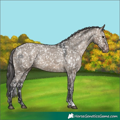 Horse Color:Brown Dun Snowflake Varnish