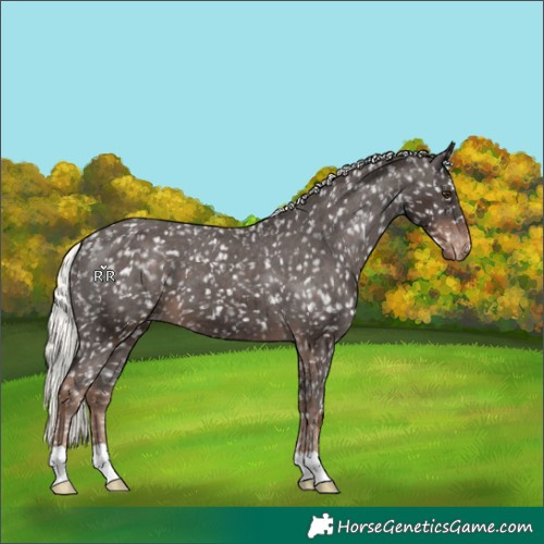 Horse Color:Liver Chestnut Mushroom Snowflake Varnish 