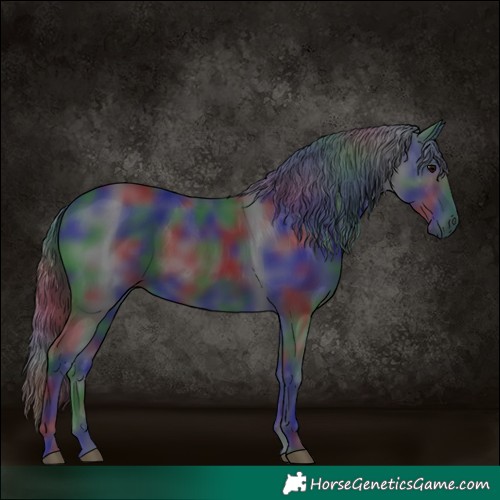 Horse Color:Nacre Black