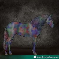 Horse Color:Nacre Black 