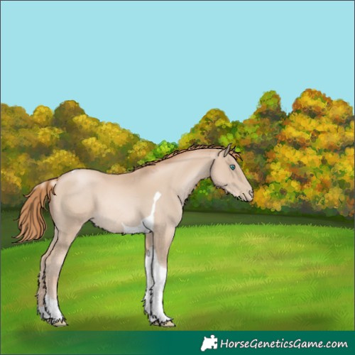 Horse Color:Smoky Black Pearl Tobiano 