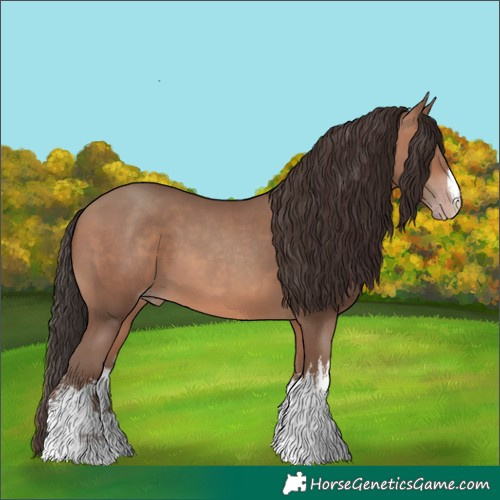 Horse Color:White Spotted Sable Champagne 