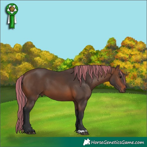 Horse Color:Painted Brown 
