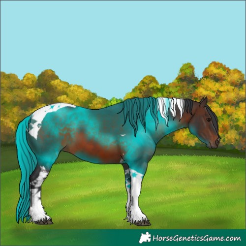 Horse Color:Brown Tobiano 