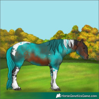 Horse Color:Brown Tobiano 