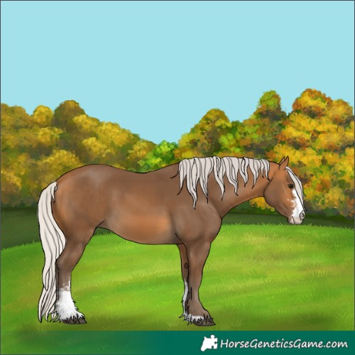 Horse Color:Silver Buckskin Sabino