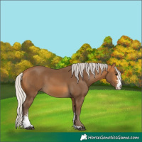 Horse Color:Silver Buckskin Sabino