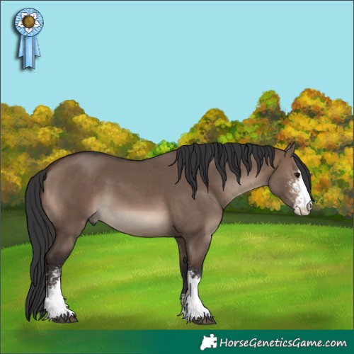 Horse Color:Brown Dun Sabino 