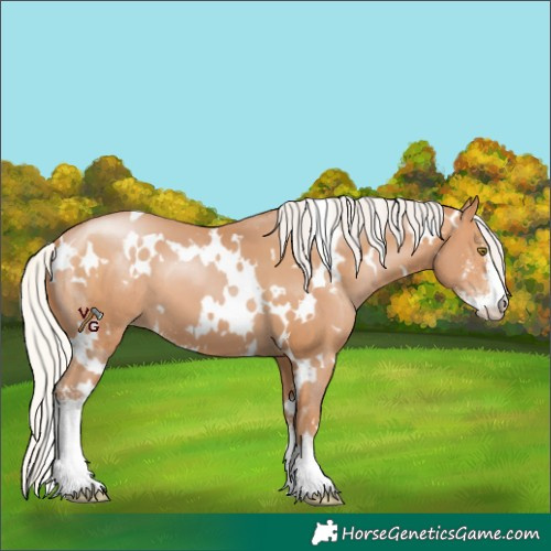 Horse Color:White Spotted Silver Brown Pearl Sabino 