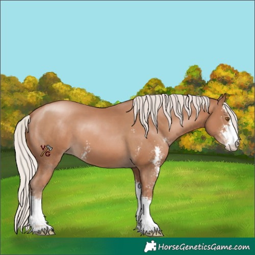 Horse Color:Silver Black Pearl Sabino 