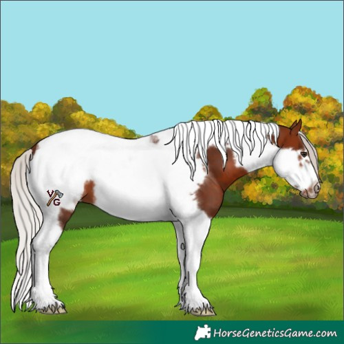 Horse Color:Silver Brown Tobiano Frame 