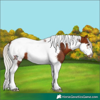 Horse Color:Silver Brown Tobiano Frame