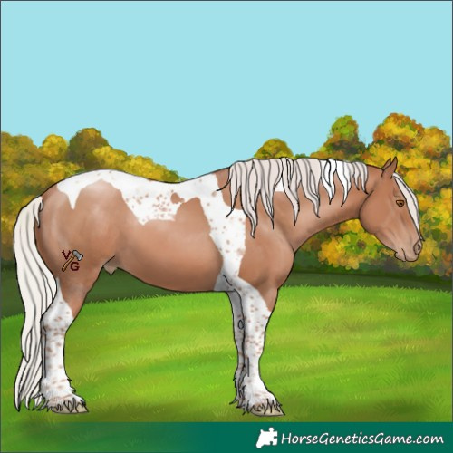 Horse Color:Silver Black Pearl Tobiano 