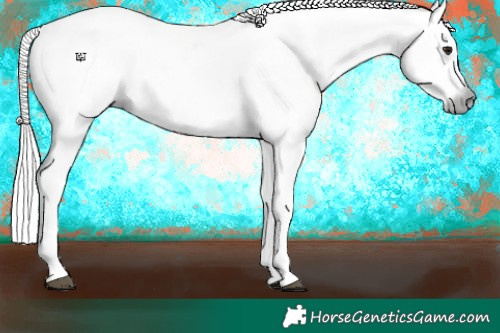 Horse Color:Gray White Spotted Silver Bay 