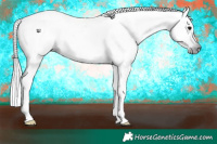 Horse Color:Gray Black