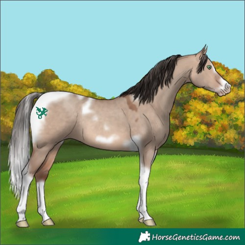 Horse Color:Sable Champagne Dun Splash Tobiano Frame Rabicano 
