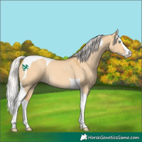 Horse Color:Silver Sable Cream Champagne Dun Splash Tobiano 