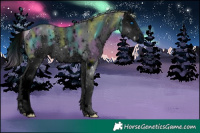 Horse Color:ERROR: UNKNOWN ANOMALY