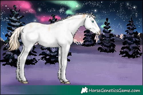 Horse Color:Smoky Black Pearl Sabino Rabicano