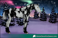 Horse Color:ERROR: UNKNOWN ANOMALY