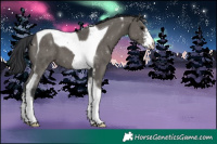 Horse Color:Grullo Sabino Tobiano