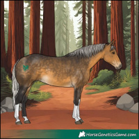 Horse Color:Silver Buckskin Tobiano Rabicano 