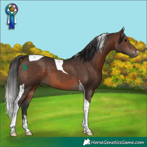 Horse Color:Brown Tobiano 