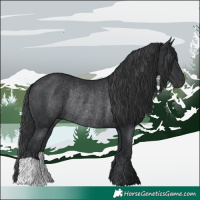 Horse Color:Black Rabicano