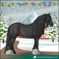 Horse Color:Black Rabicano