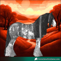 Horse Color:Black Sabino
