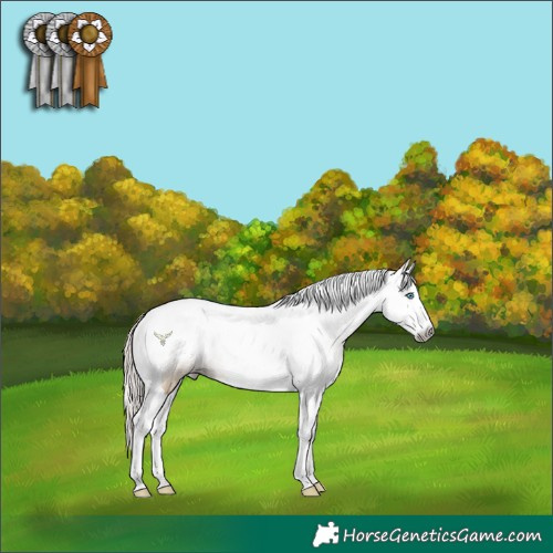 Horse Color:Gray Smoky Grullo Pearl Splash Tobiano 