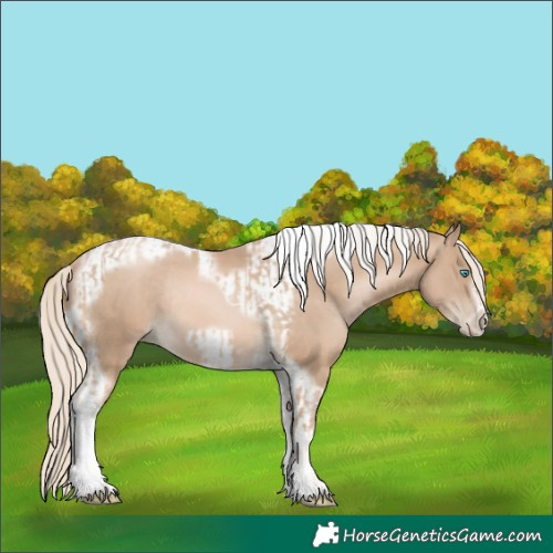 Horse Color:Chocolate Palomino Pearl Tobiano Frame and Chocolate Palomino Pearl Tobiano Frame Rabicano