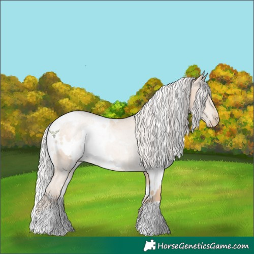 Horse Color:White Spotted Silver Buckskin Pearl Rabicano 