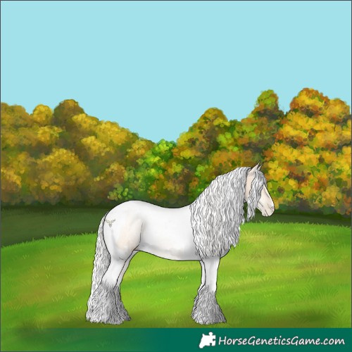 Horse Color:White Spotted Silver Sable Cream Champagne Pearl Tobiano 
