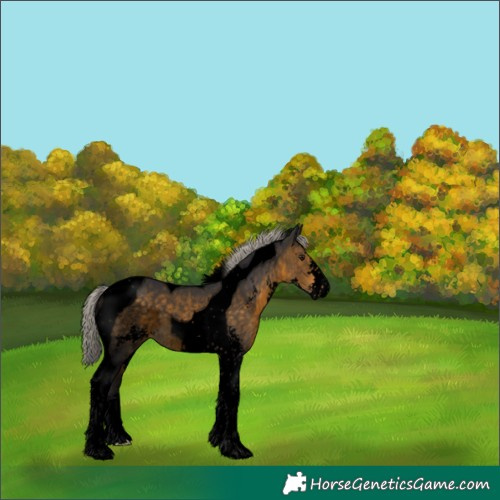 Horse Color:Void Silver Buckskin Sabino Tobiano 