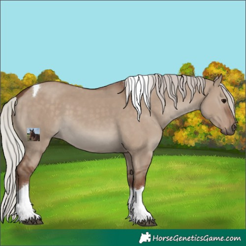 Horse Color:Silver Grullo Tobiano 