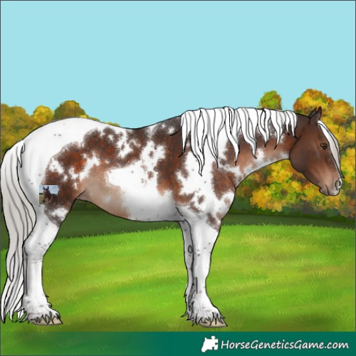 Horse Color:White Spotted Silver Brown Tobiano
