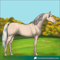 Horse Color:White Spotted Silver Amber Champagne Dun Rabicano 