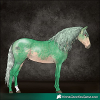 Horse Color:Watercolor Silver Buckskin Chinchilla 