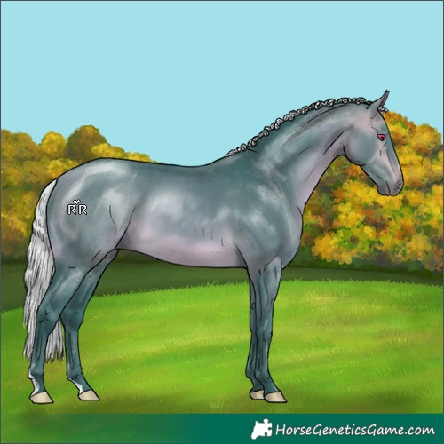 Horse Color:Watercolor Silver Buckskin Chinchilla 